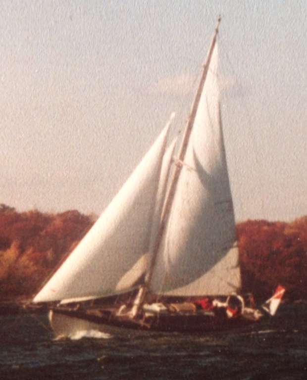 Zingara in the 1980s